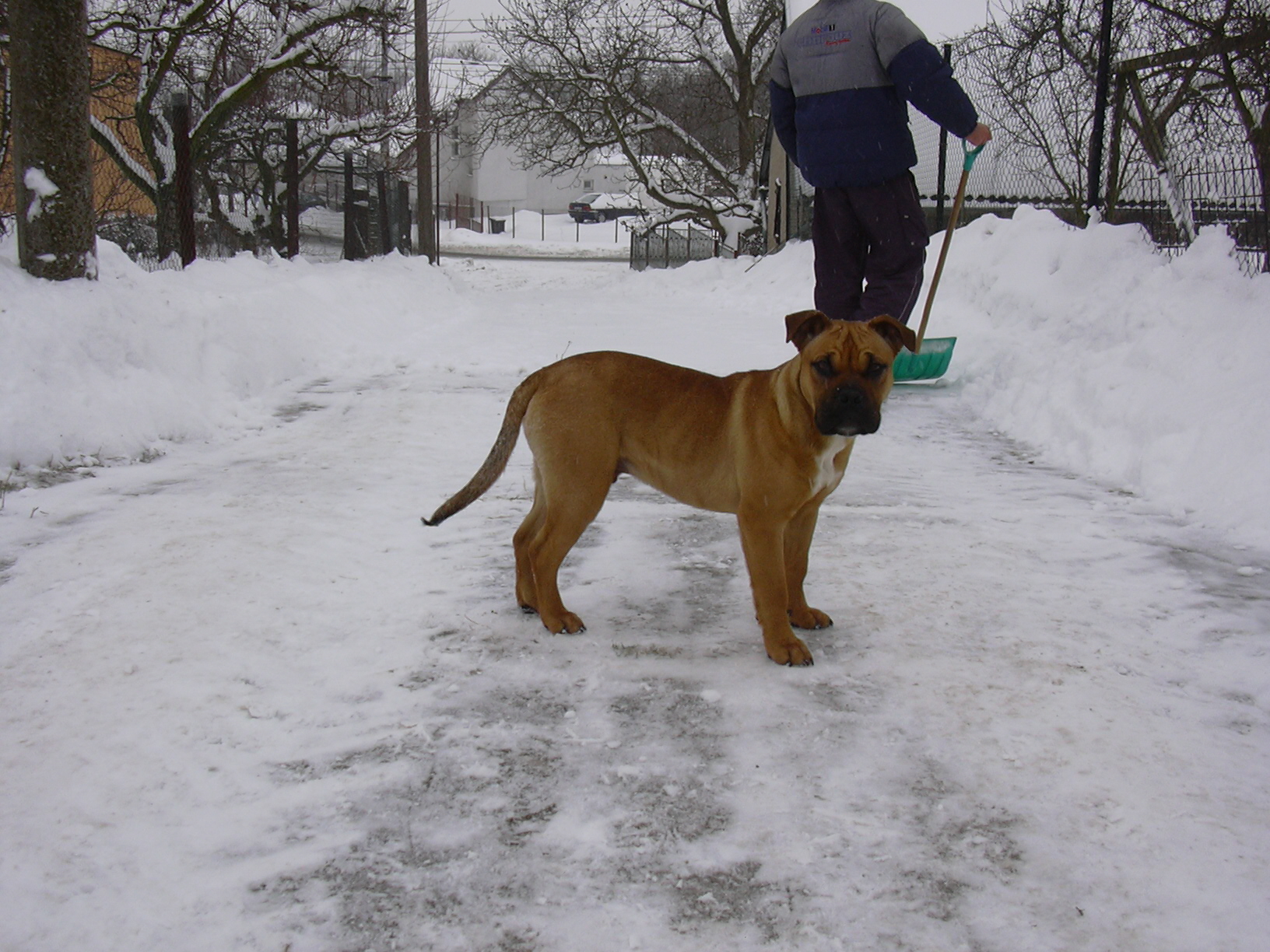 DSCN0137.JPG
