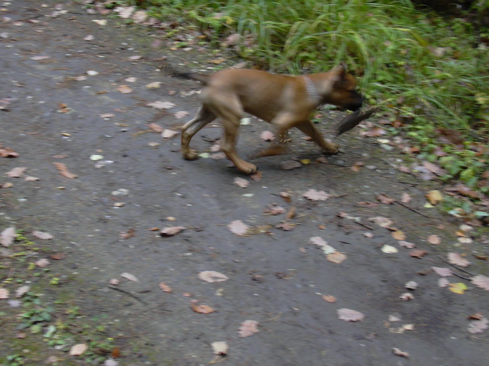 DSCN0055.JPG