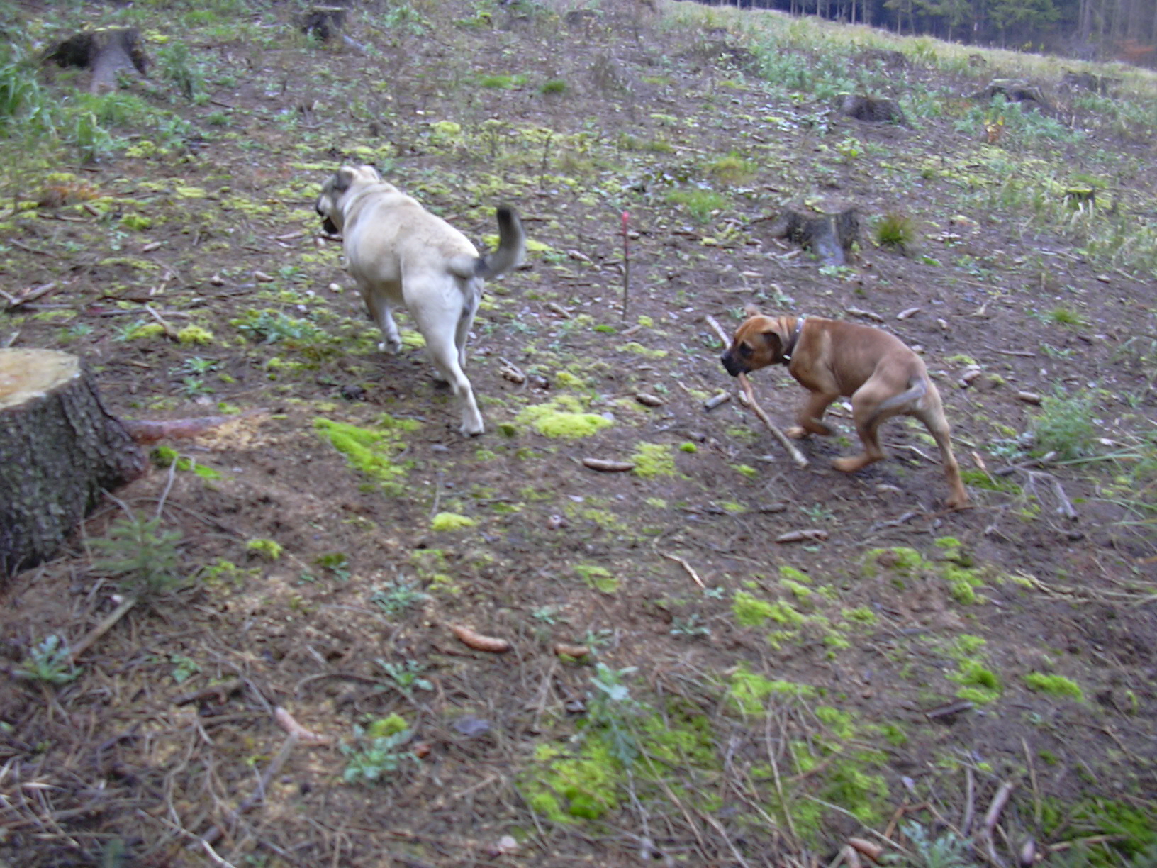 DSCN0088.JPG