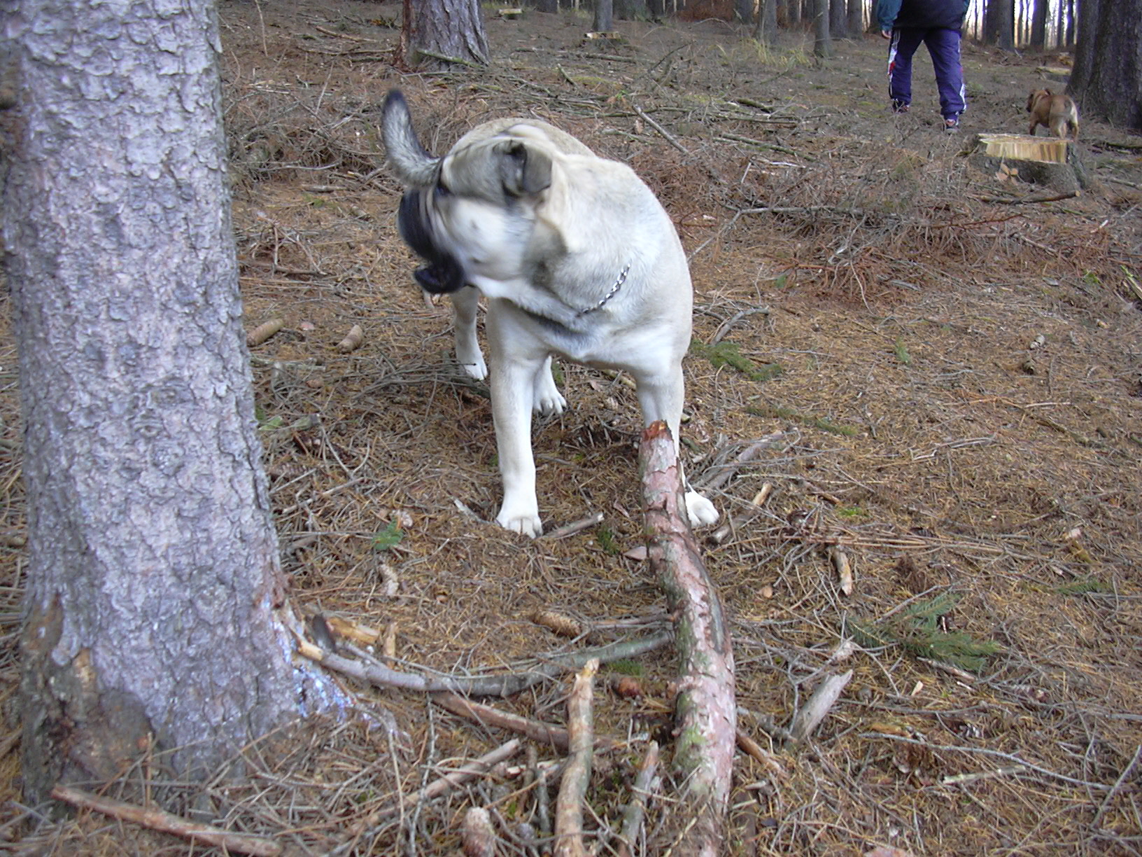DSCN0091.JPG