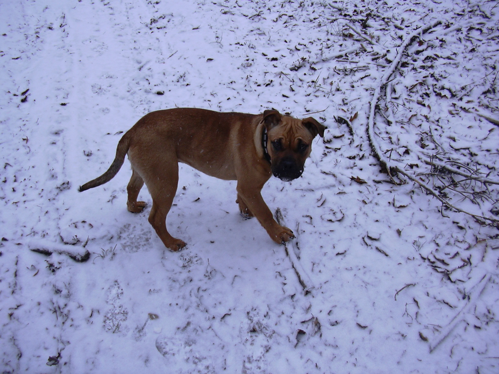 DSCN0108.JPG